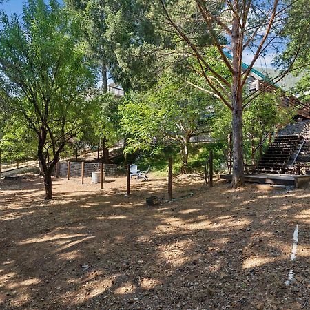 Warm And Cozy Mountain And Lake View Haven Cottage Kelseyville Bagian luar foto